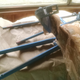 Don’t worry; the frame was damaged beyond its worth. The other tubing is going toward a moving bottom bracket recumbent project.
